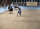 Rudeopvisning 029