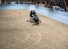 Rudeopvisning 033