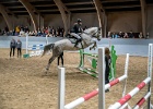 Rudeopvisning 126