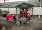Julestue 096