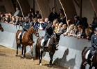 Rideopvisning 010