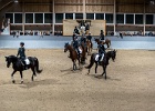 Rideopvisning 018