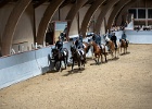 Rideopvisning 022