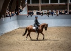 Rideopvisning 026