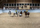 Rideopvisning 033