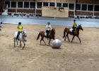 Rideopvisning 035