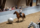 Rideopvisning 036