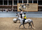 Rideopvisning 037