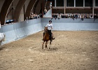 Rideopvisning 039