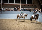 Rideopvisning 042