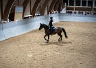 Rideopvisning 051
