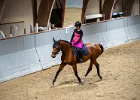 Rideopvisning 053
