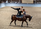 Rideopvisning 065