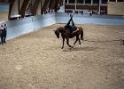 Rideopvisning 072