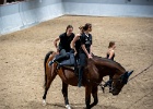 Rideopvisning 073