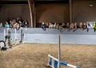 Rideopvisning 079
