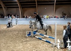 Rideopvisning 083