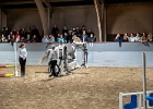 Rideopvisning 084