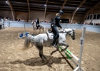 Rideopvisning 086