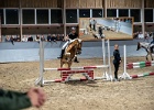 Rideopvisning 099