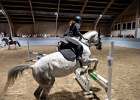 Rideopvisning 123