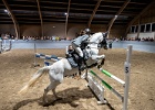 Rideopvisning 135