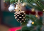 Julestue 008