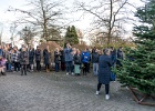 Julestue 039