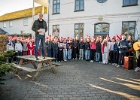 Julestue 045