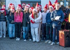 Julestue 046