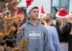 Julestue 049