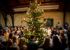 2023-12-19 Julefest
