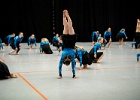 Opvisning 042