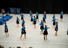 Opvisning 044