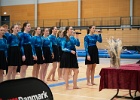 Opvisning 046