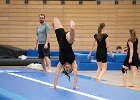 Opvisning 074